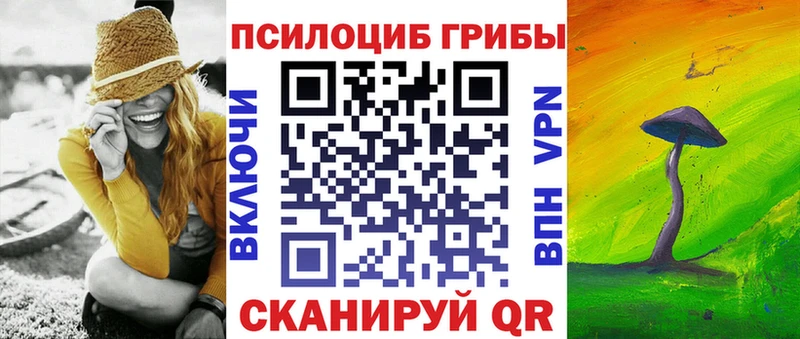 Купить закладки  Козловка  Псилоцибиновые грибы Magic Shrooms 